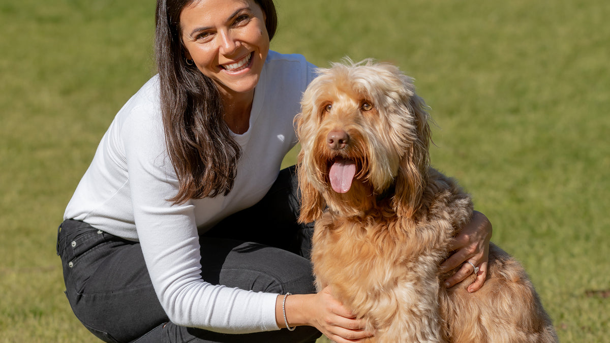Tips to Keep Your Dog s Fur Shiny and Healthy Bell and Bone
