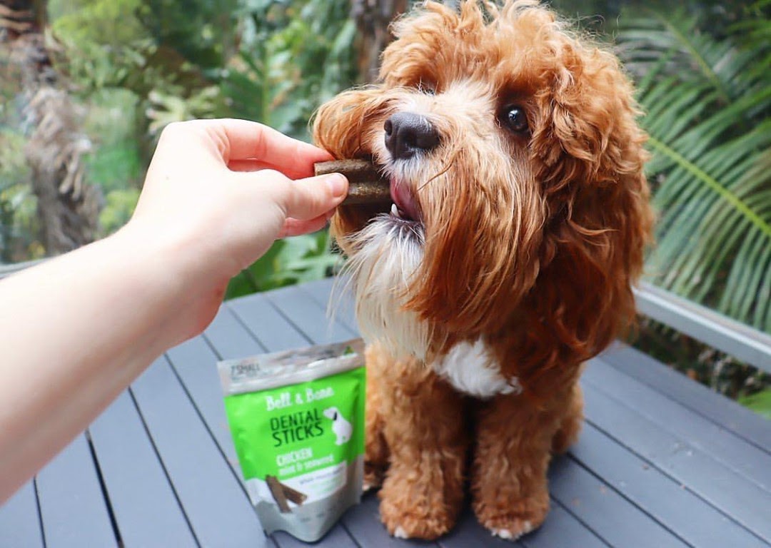 What Are the Best Treats for Dog Training? Bell and Bone