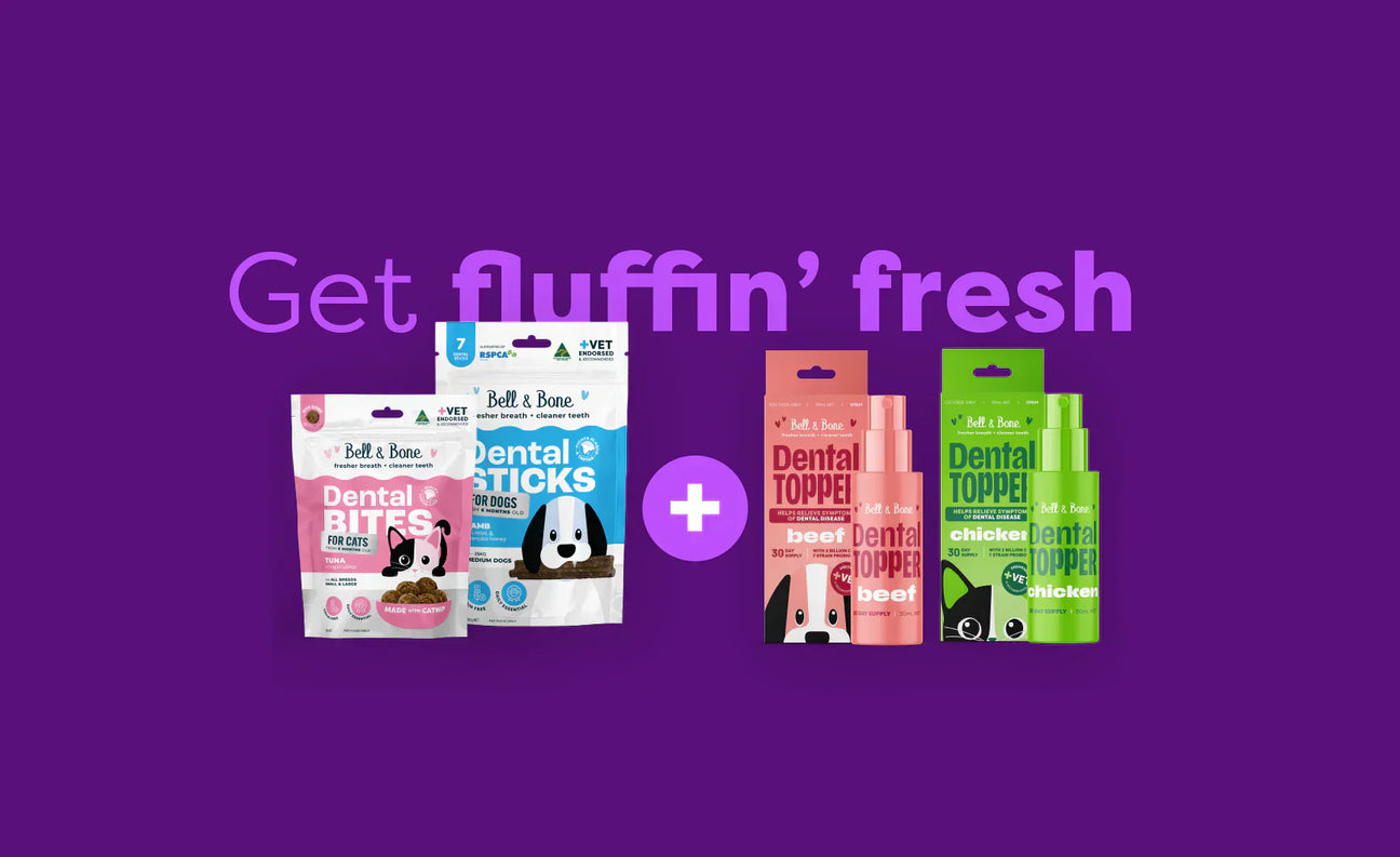 30 Days to Better Breath and Dental Health: Real Pet Parent Results with Bell & Bone