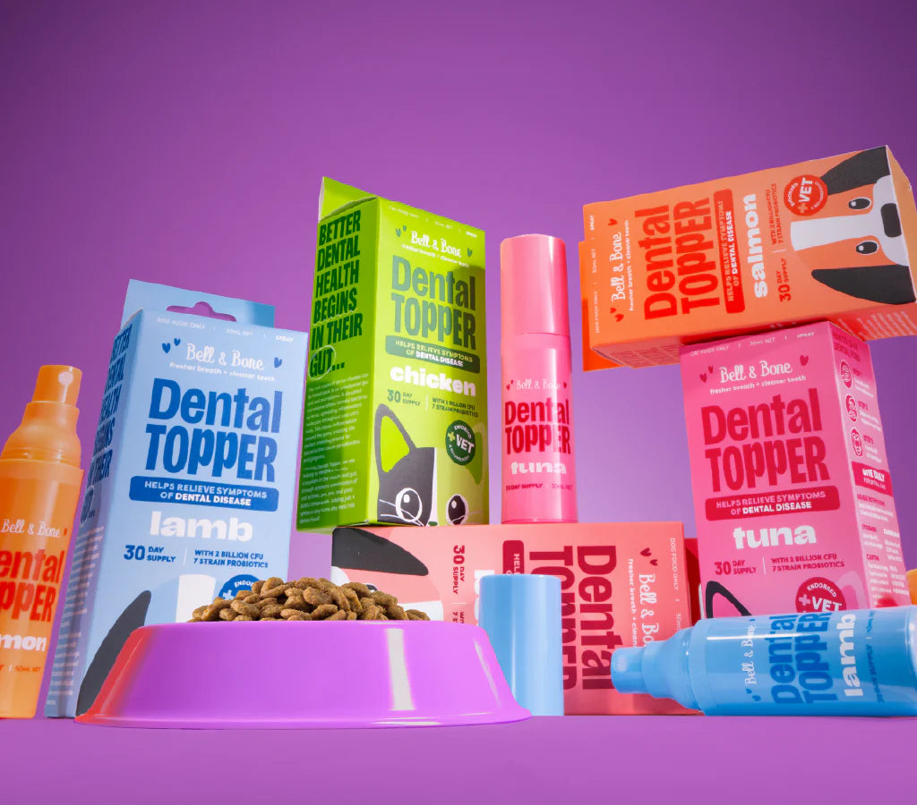 The science behind Bell & Bone's Dental Topper: How a healthier gut will transform your pet's mouth