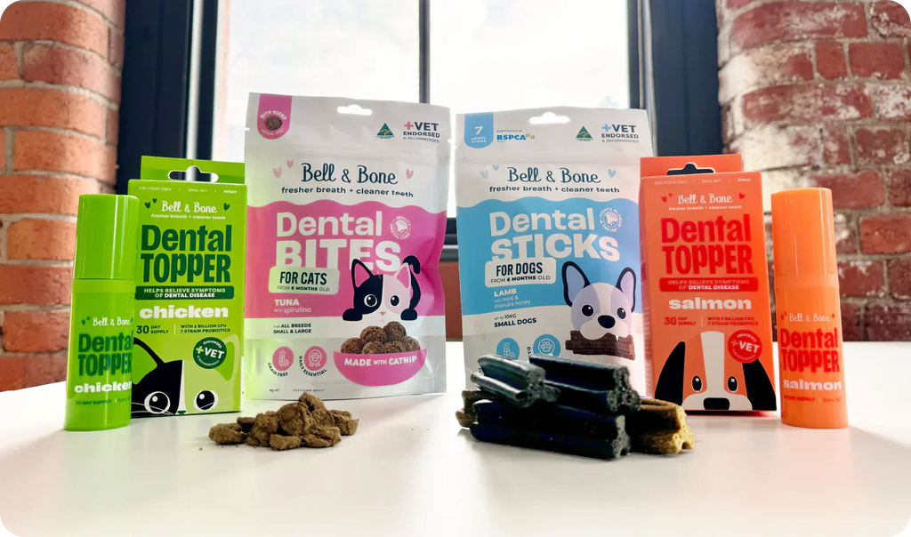 The Best Dental Care Routine for Dogs and Cats: Bell & Bone’s Complete Dental Care Solution