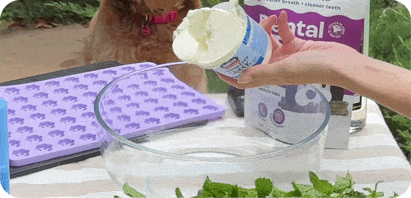 Frozen Dog & Cat Dental Treat Recipes