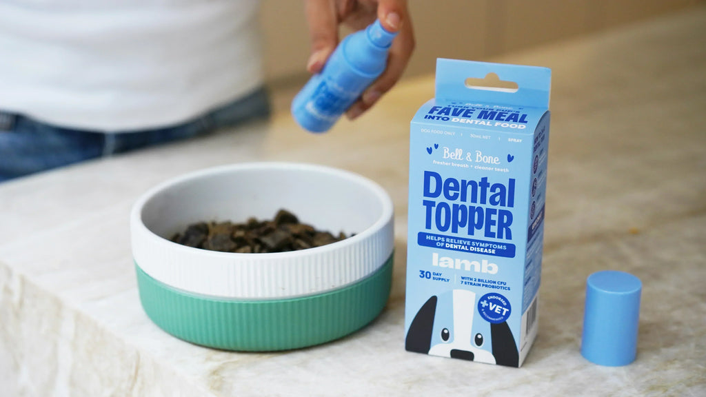 DIY Dental Food for dogs & cats: The first gut-health Dental Topper Spray in Australia