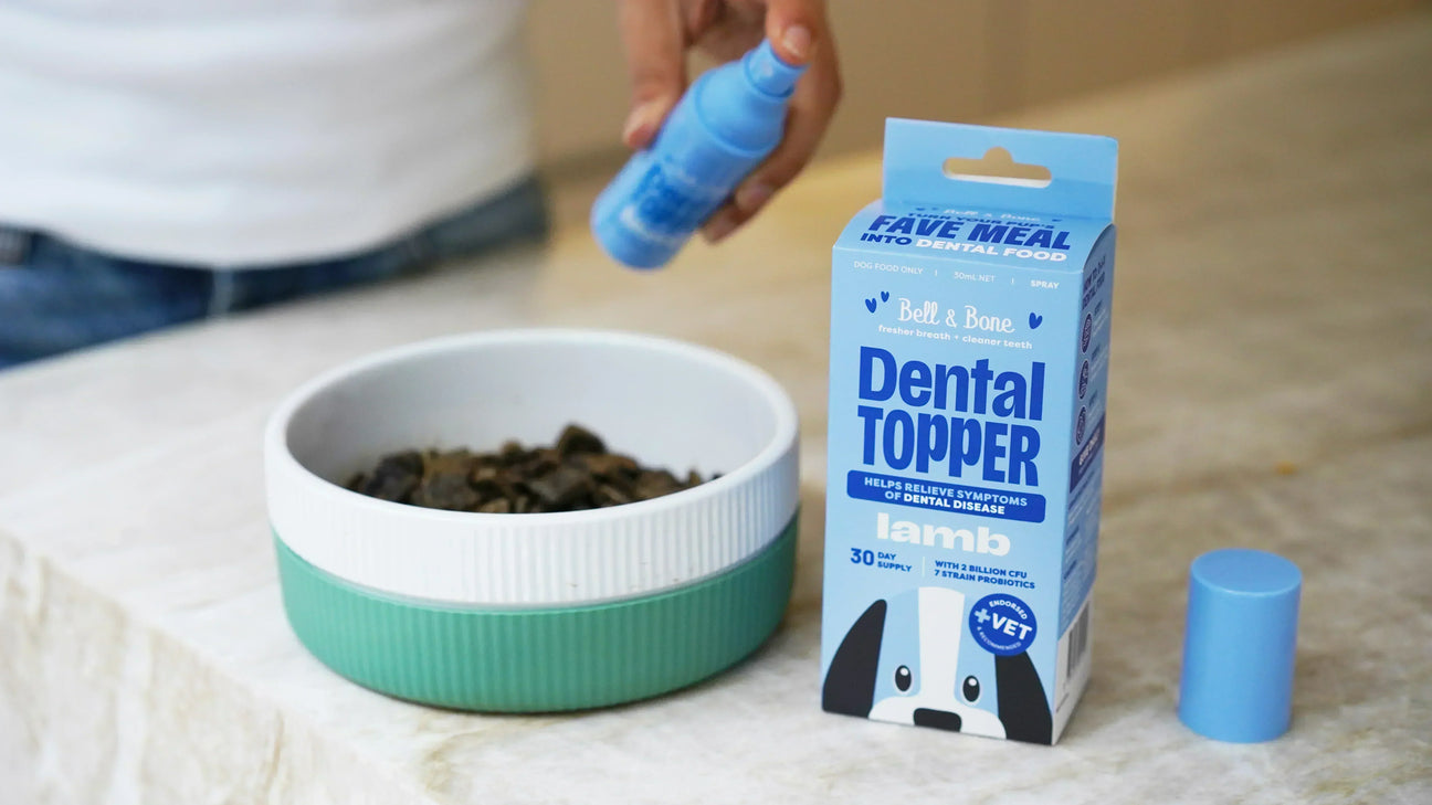 DIY Dental Food for dogs & cats: The first gut-health Dental Topper Spray in Australia