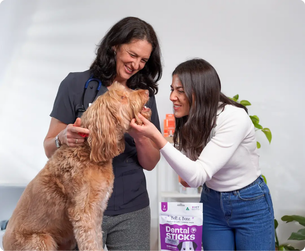 Why Bell & Bone Doesn’t Have the VOHC Tick (Yet) But Is Still a Top Choice for Pet Dental Health