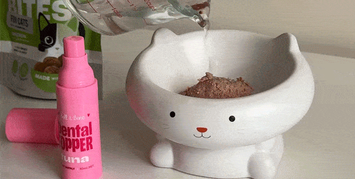 Cat Dental Care Made Easy: Dental Toppers & Treat Bowl Recipes
