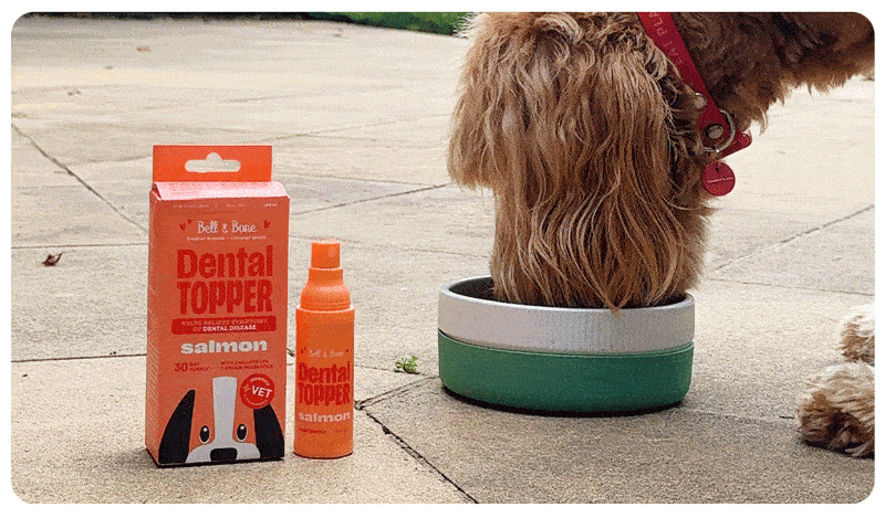 Louie’s 6-Month Health Journey on Bell & Bone’s Dental Topper