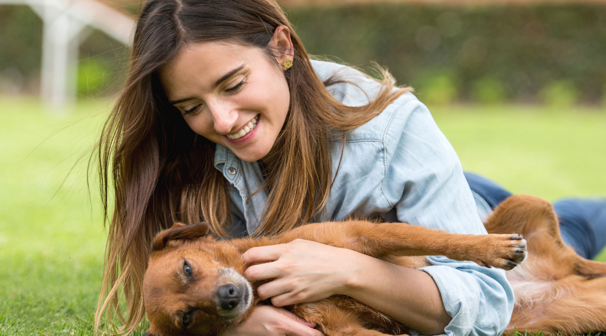 can I adopt a dog with other pets