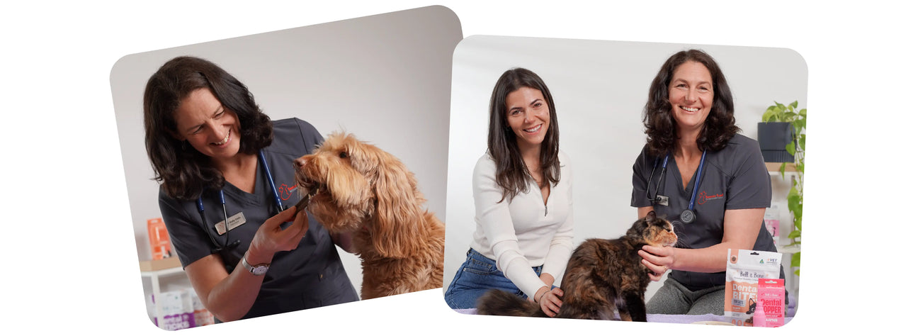 Vet Recommended Dental Care for Dogs and Cats: Dr Kelly’s Guide
