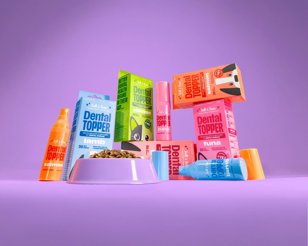 The science behind Bell & Bone's Dental Topper: How a healthier gut will transform your pet’s mouth