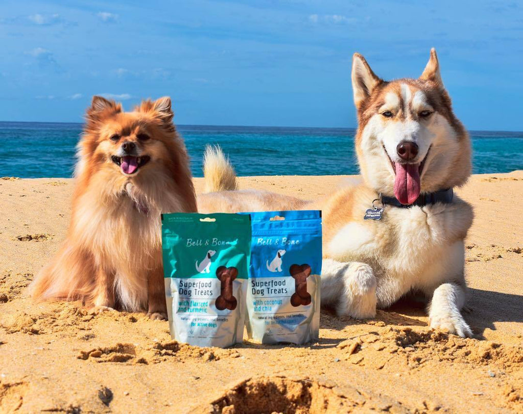 Top 5 Summer Treats for Dogs