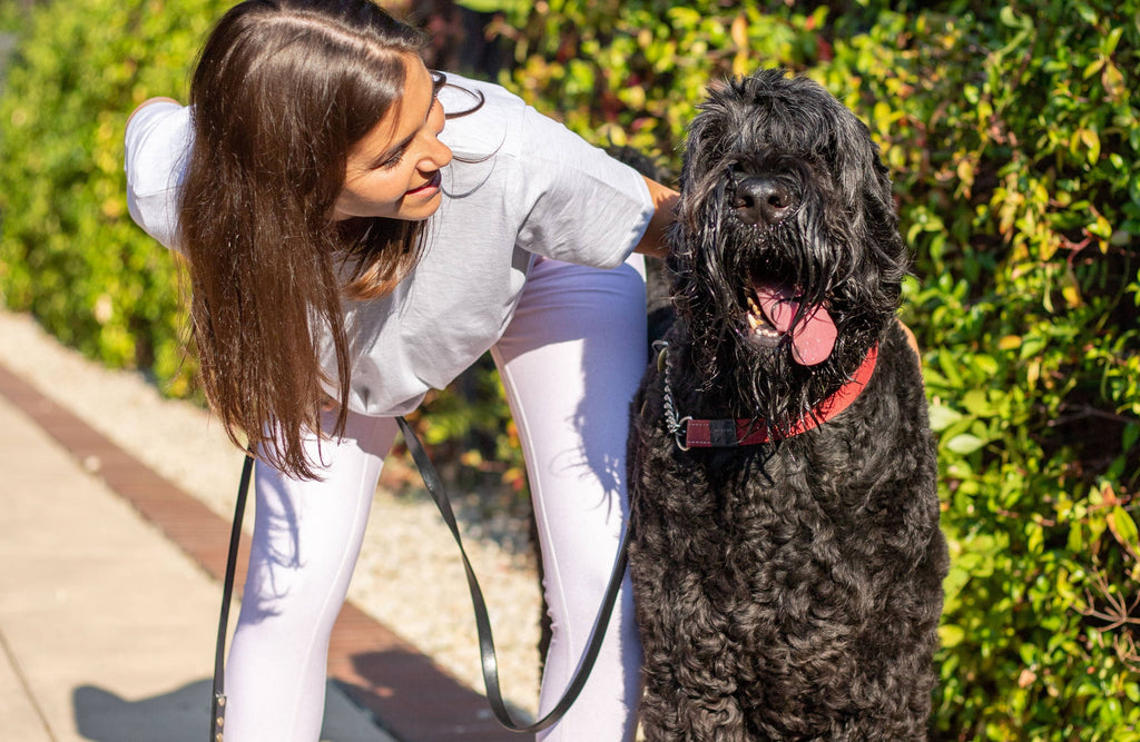 5 Reasons Why Walking Your Dog Keeps You Both Healthier