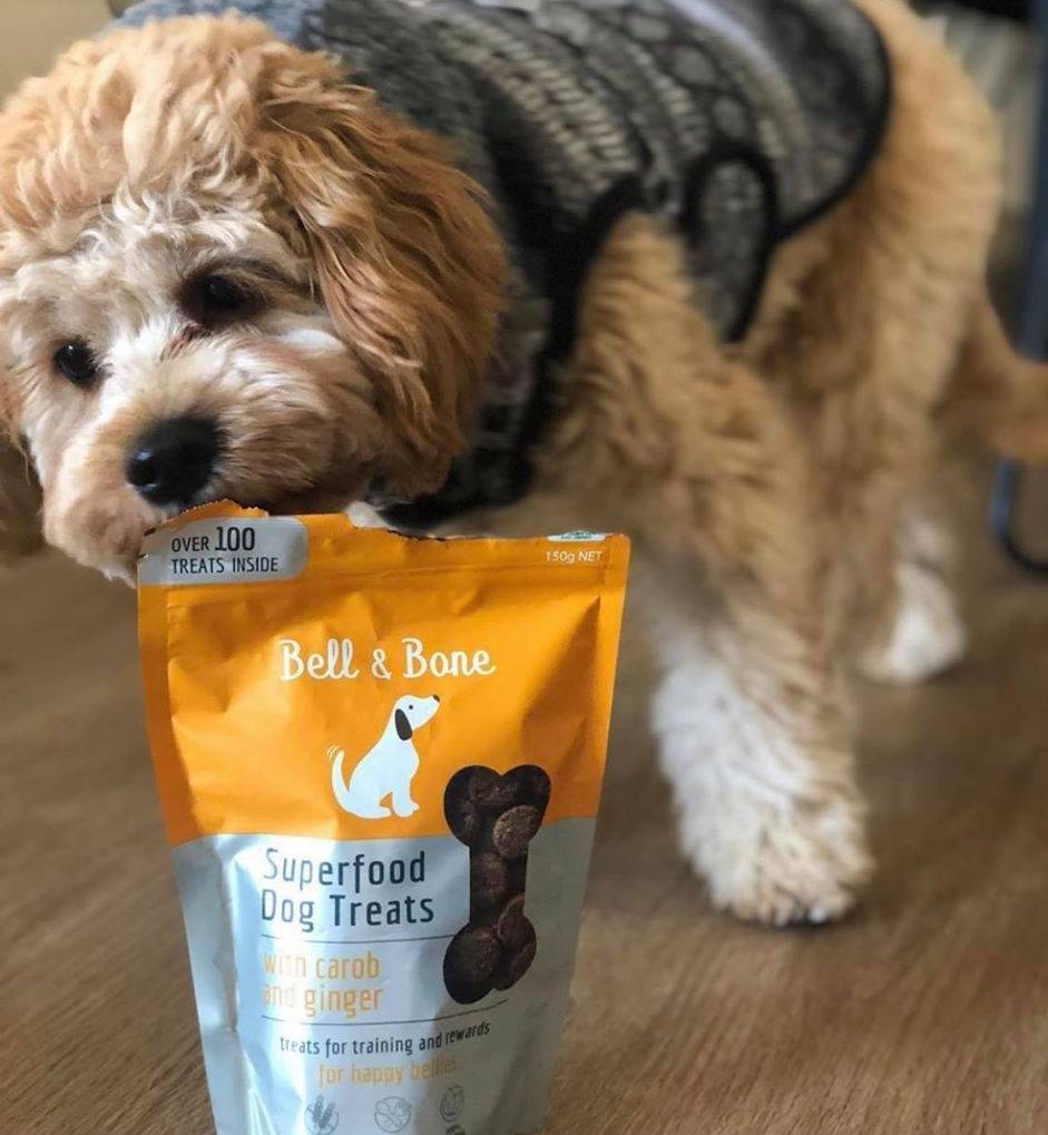 Why Superfood Dog Treats Are the Best Puppy Training Treats!