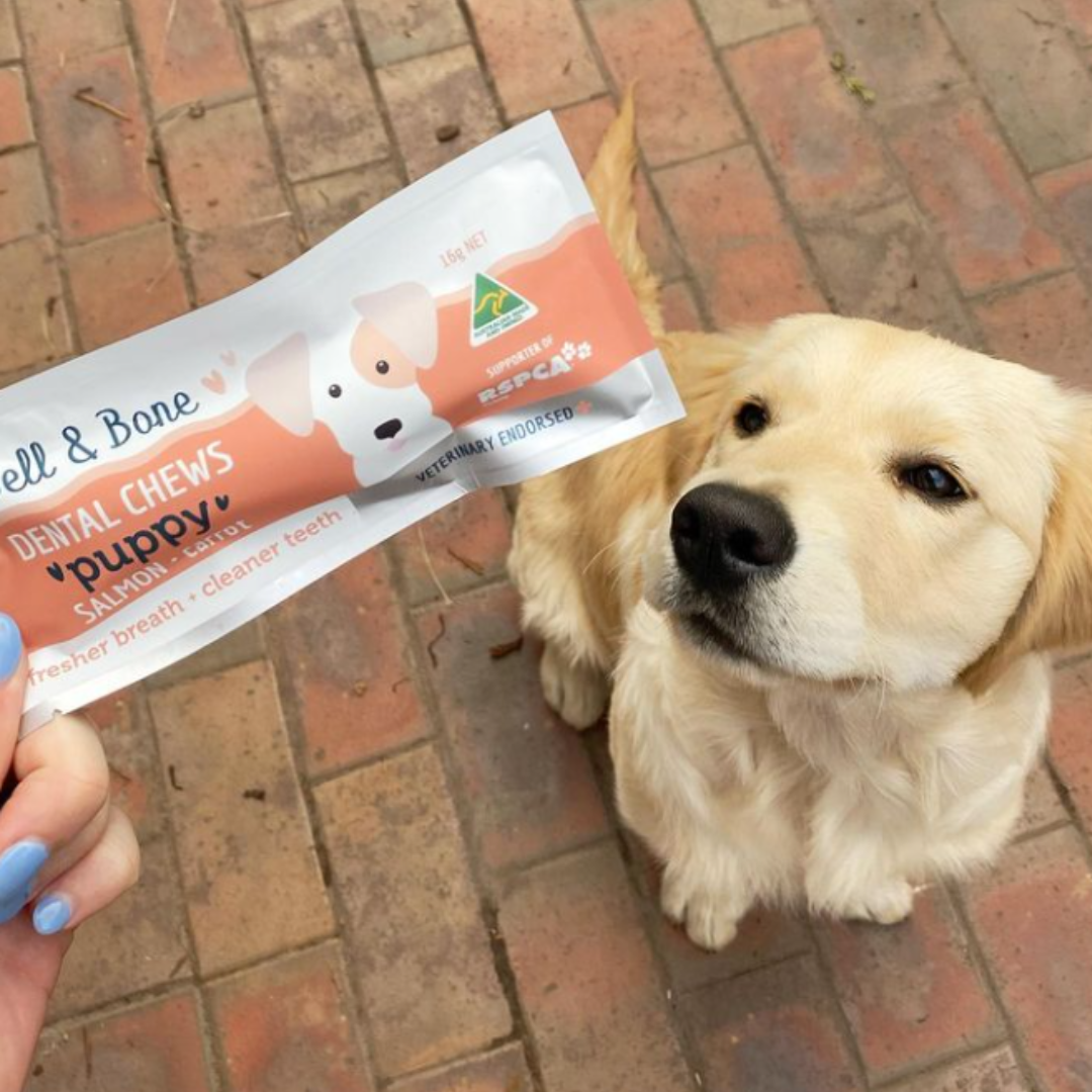 Puppy Dental Chew Sample