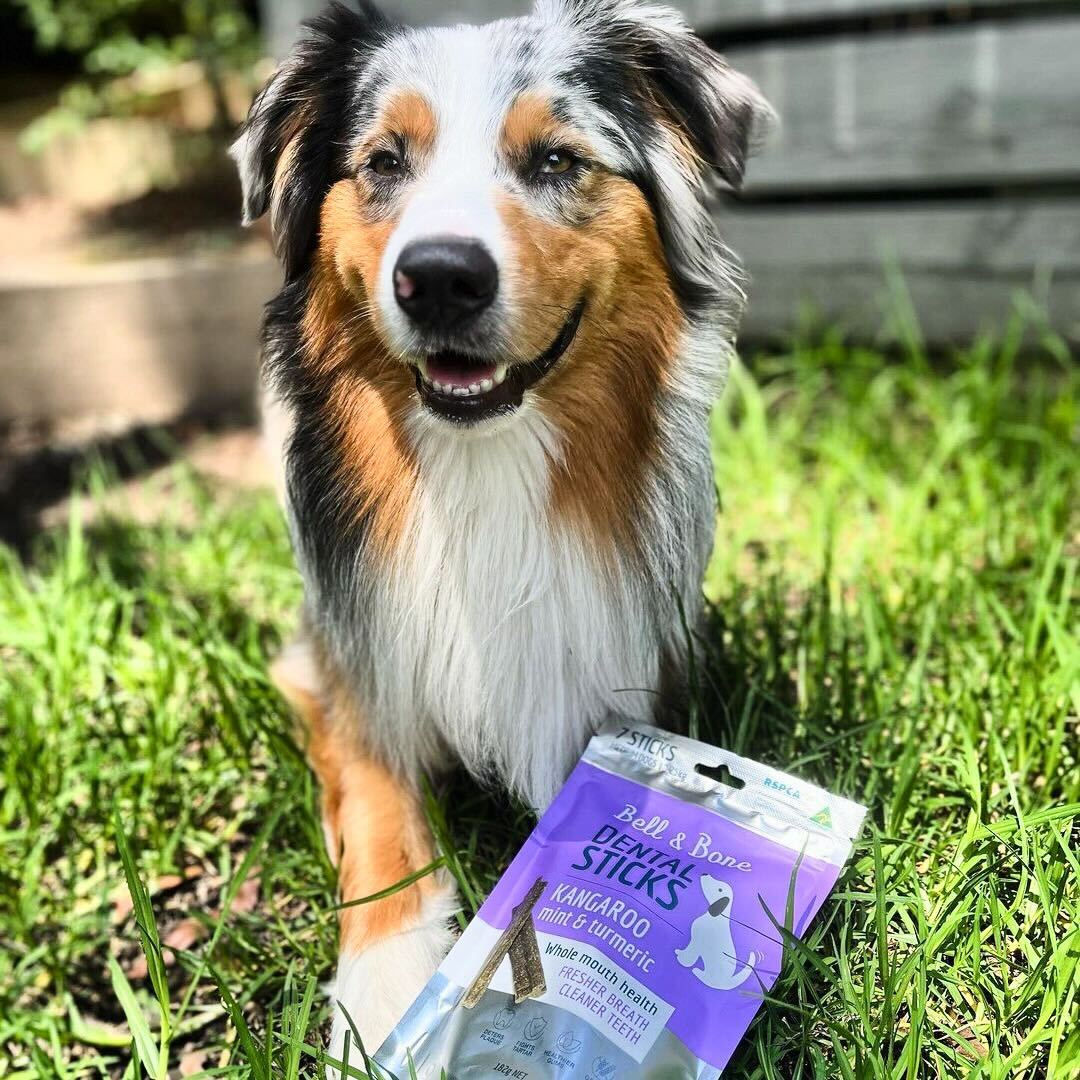 Adult Dog Dental Sticks - Kangaroo, Mint and Turmeric