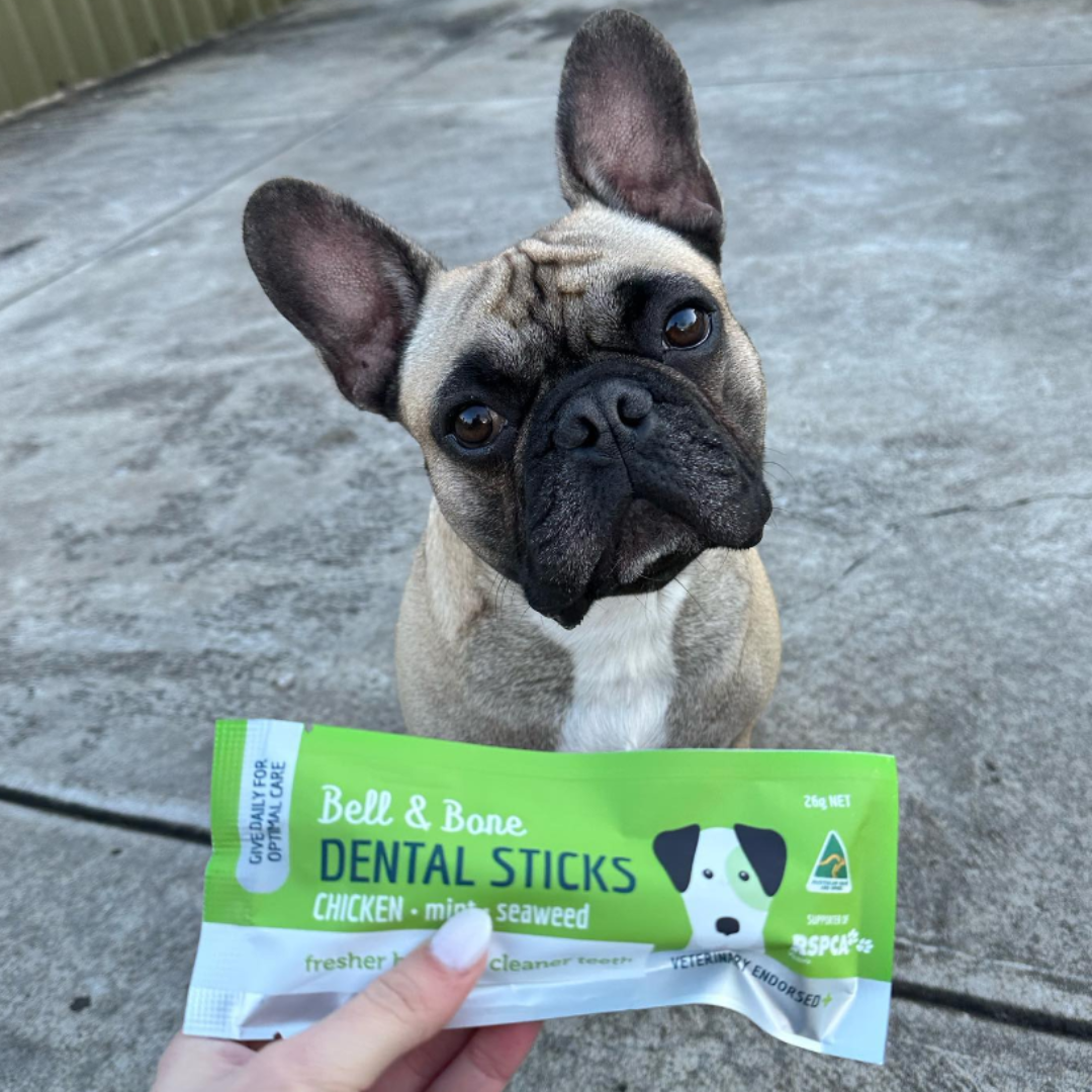 Adult Dog Dental Stick Samples
