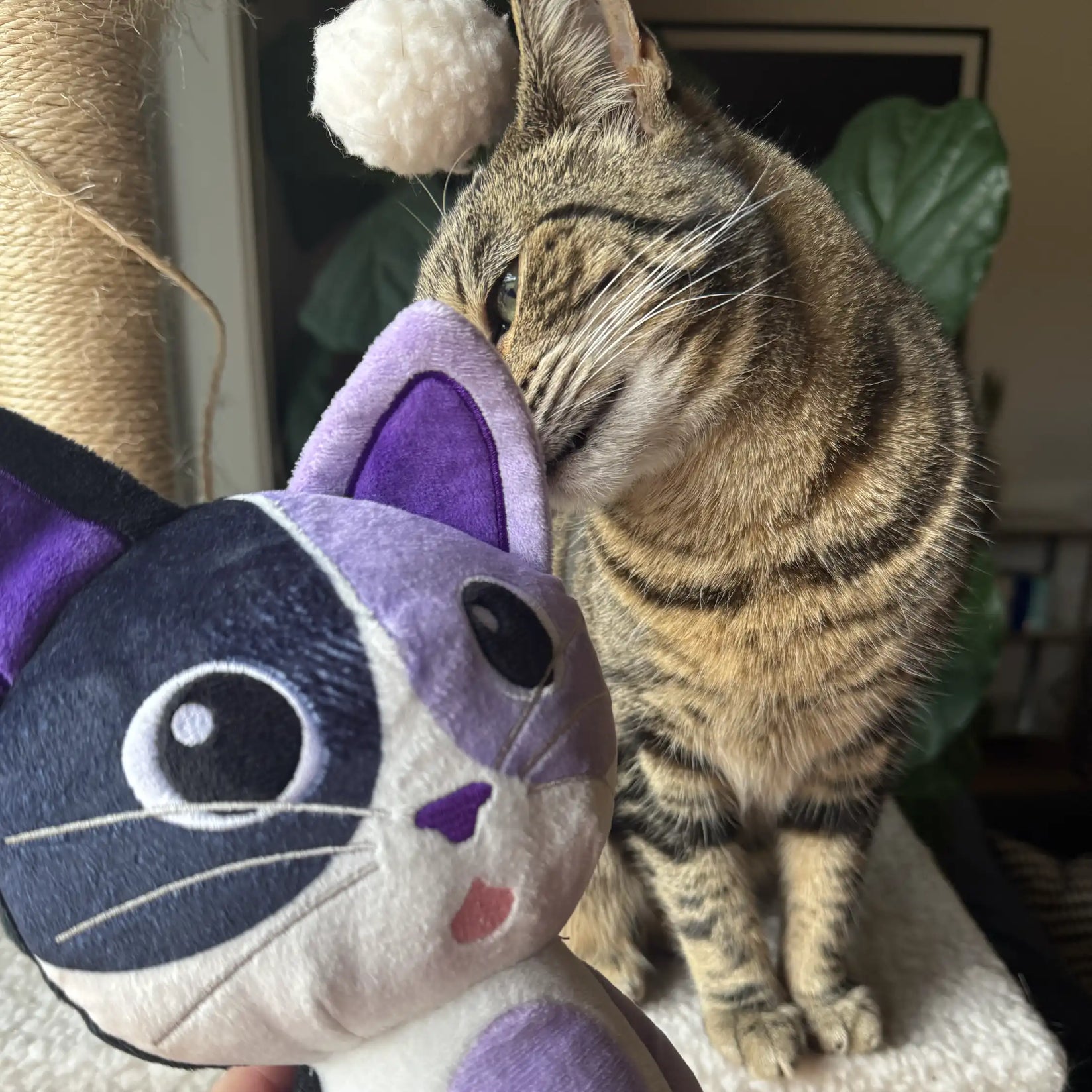 Cat Plush Chew Toy