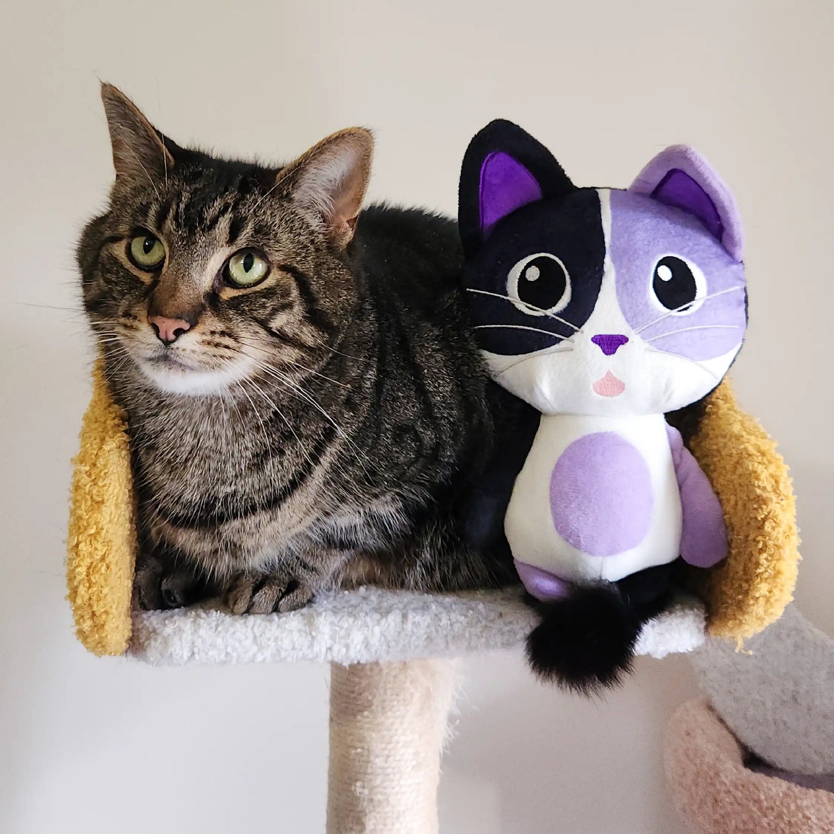 Cat Plush Chew Toy