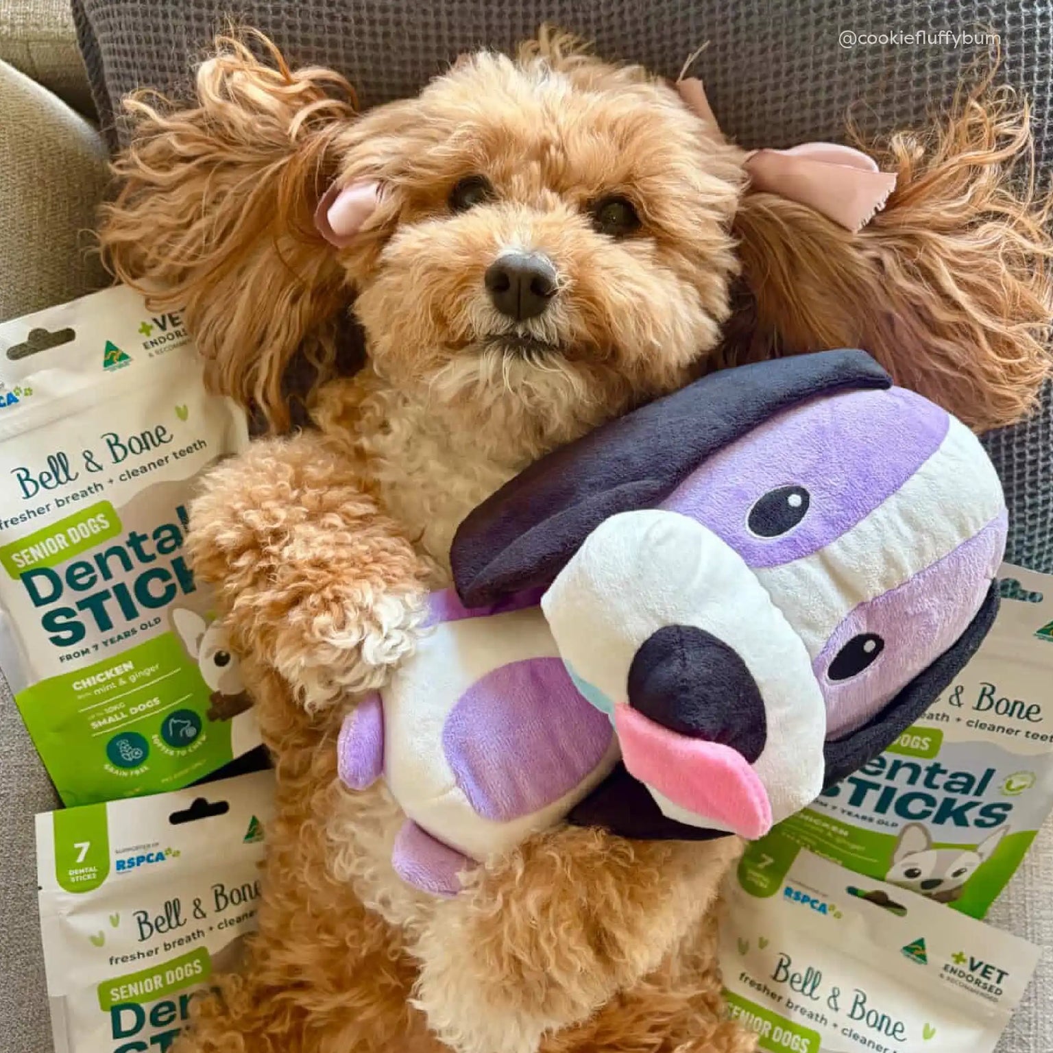 Dog Plush Chew Toy