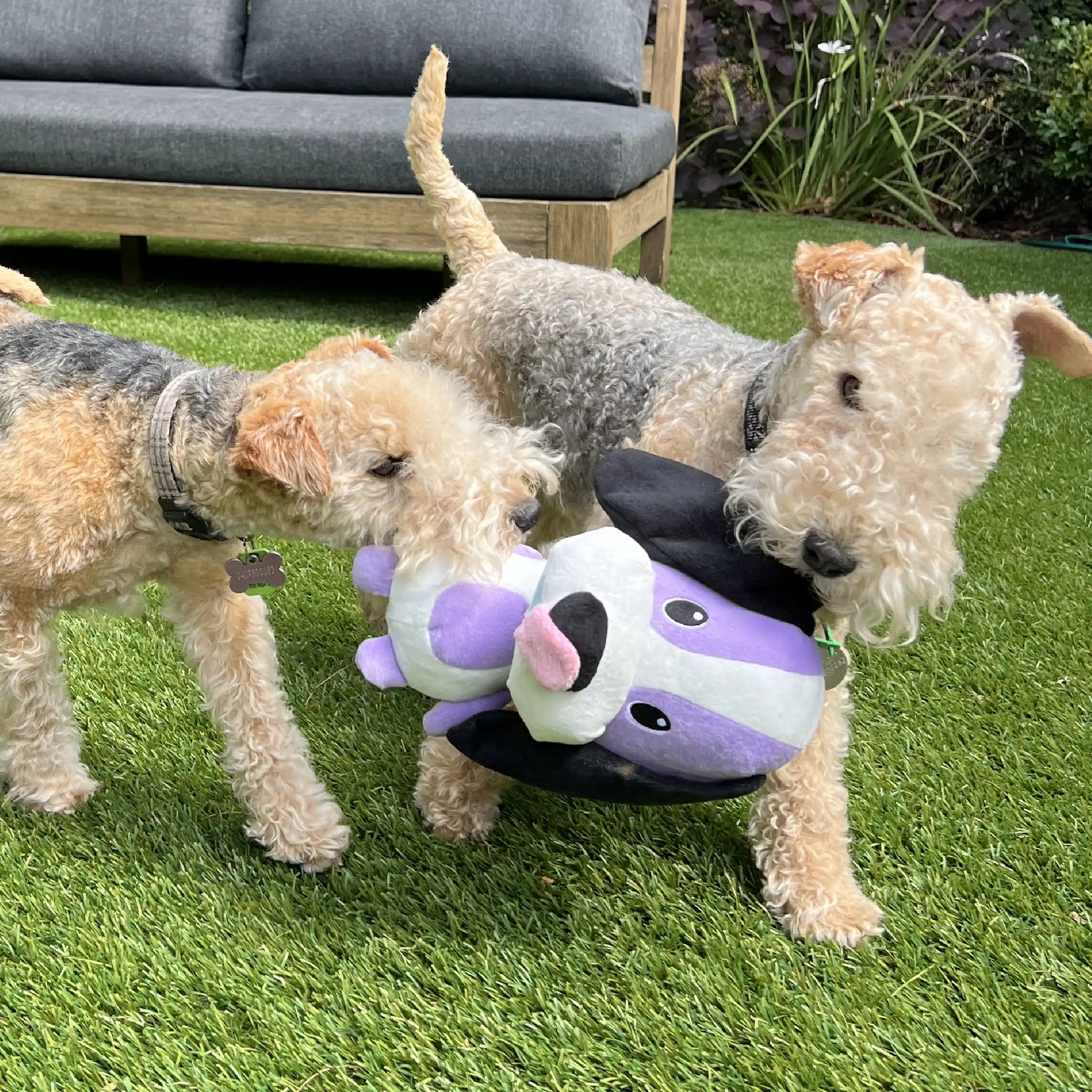 Dog Plush Chew Toy