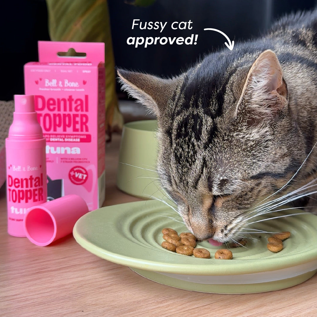 Cat Dental Topper Bundle - 2 Pack (60 day supply)