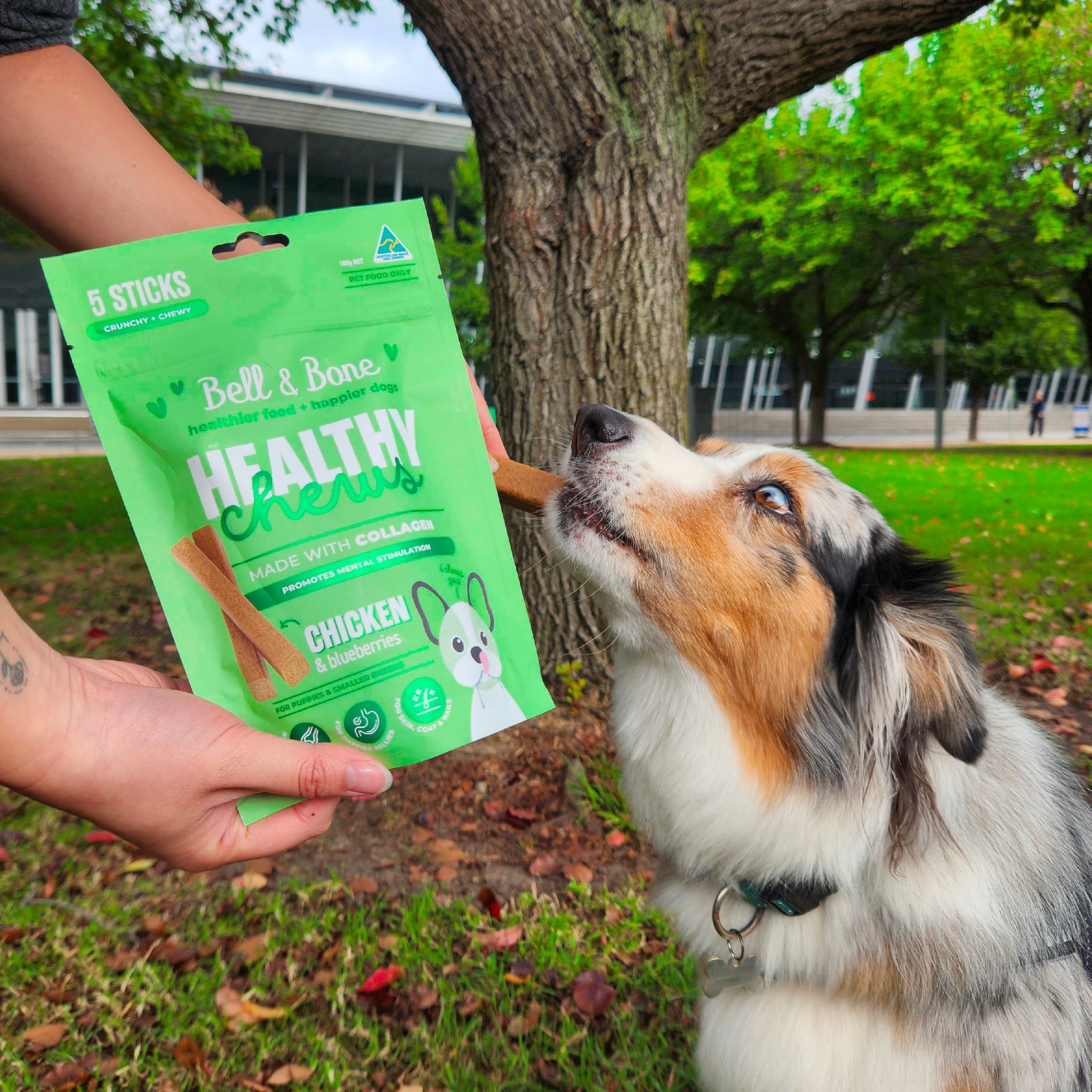 Dog Collagen Sticks - Chicken and Blueberries