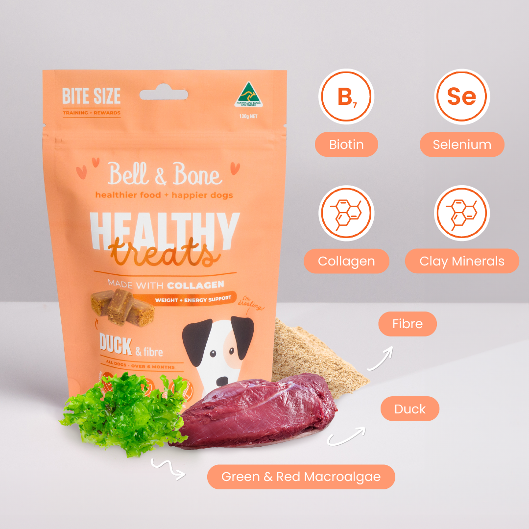 Dog Healthy Treats: Duck & Fibre for weight and energy support