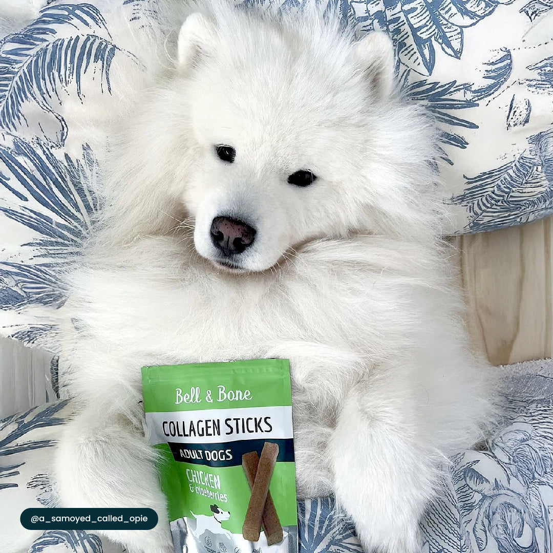 Dog Collagen Sticks - Chicken and Blueberries