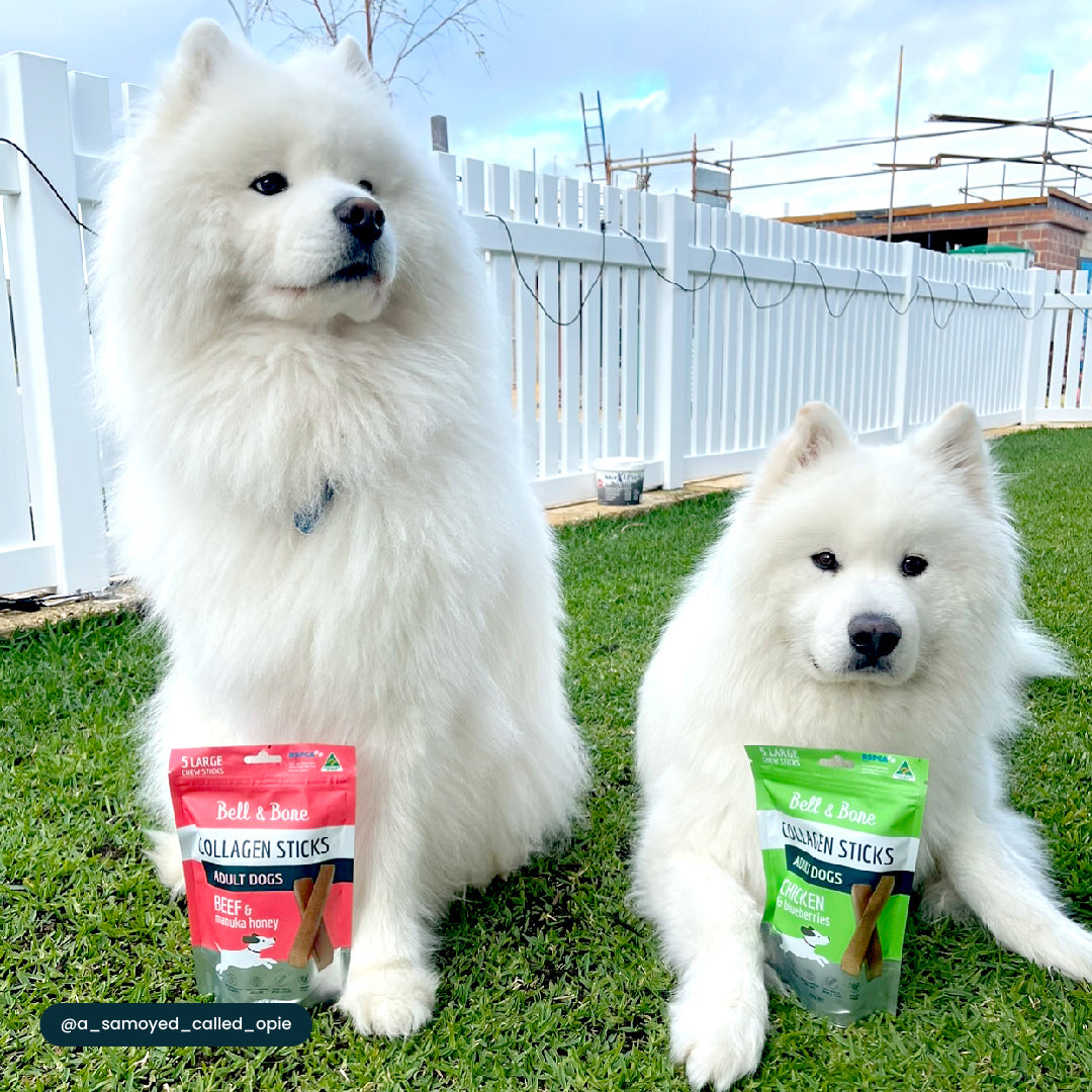 Dog Collagen Sticks Bundle - 4 Pack