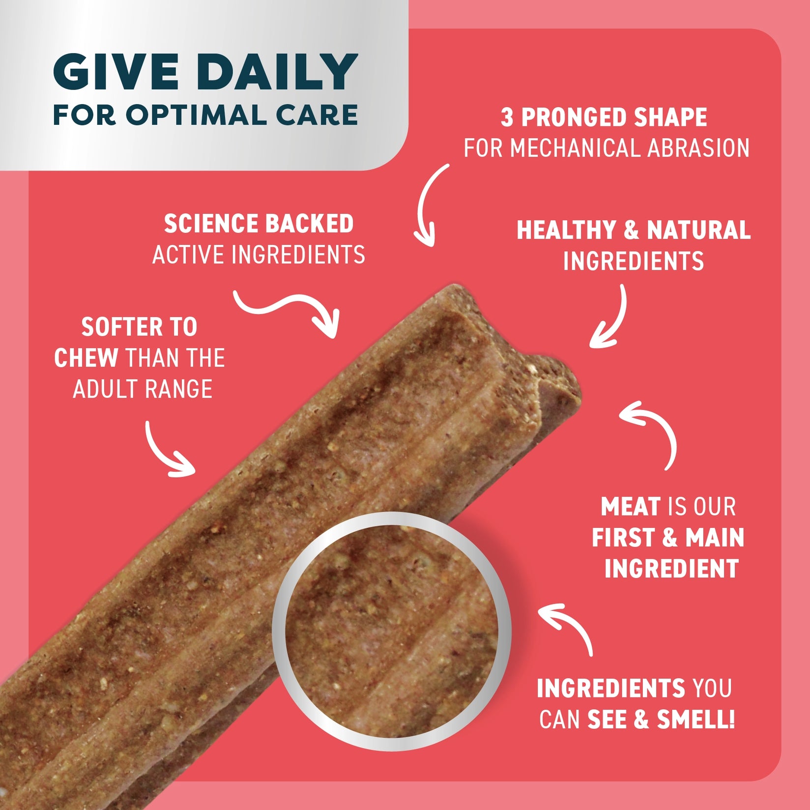 Puppy Dental Chews - Beef and Coconut