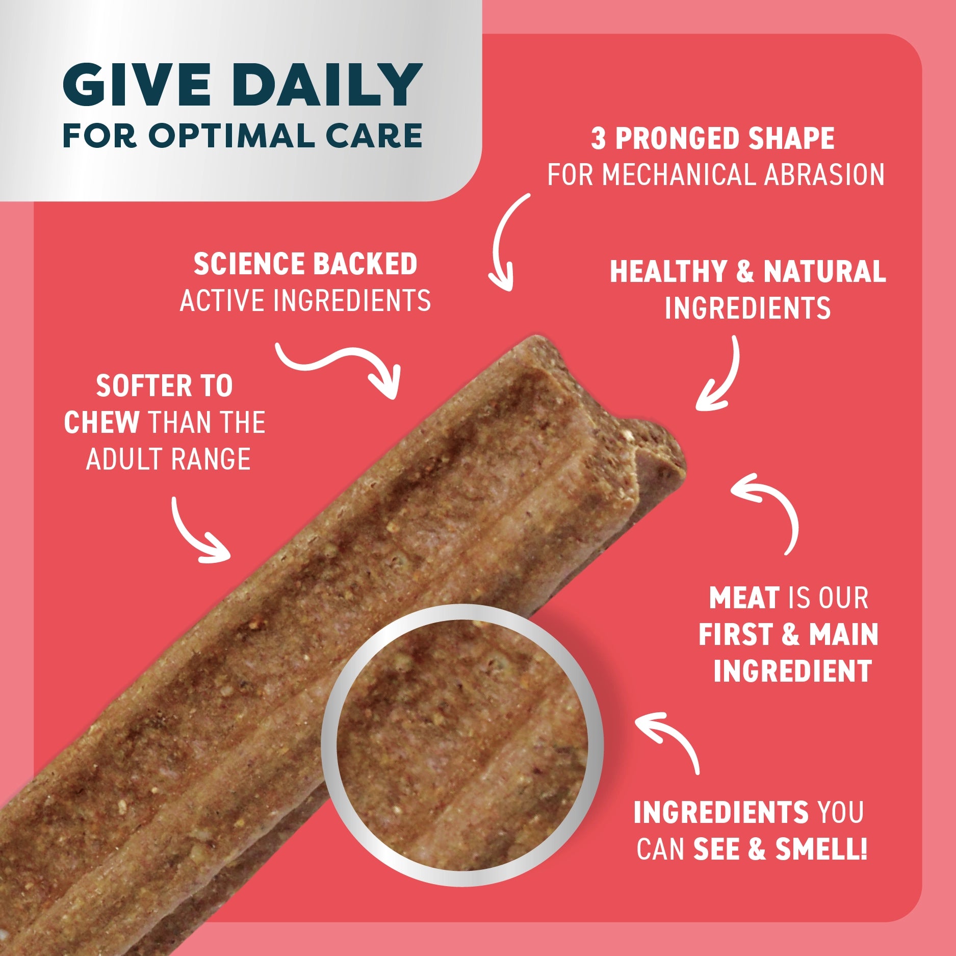 Puppy Dental Chews - Beef and Coconut