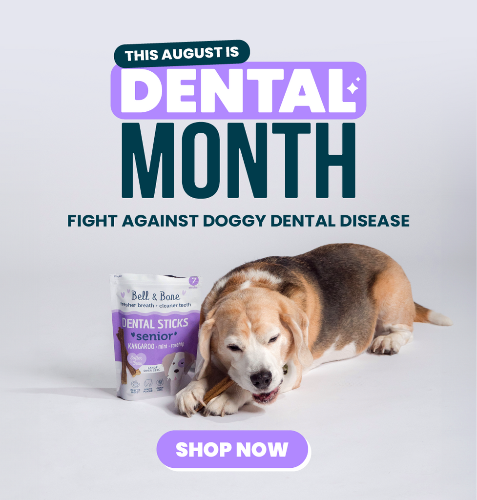 Dental Treats For Dogs 