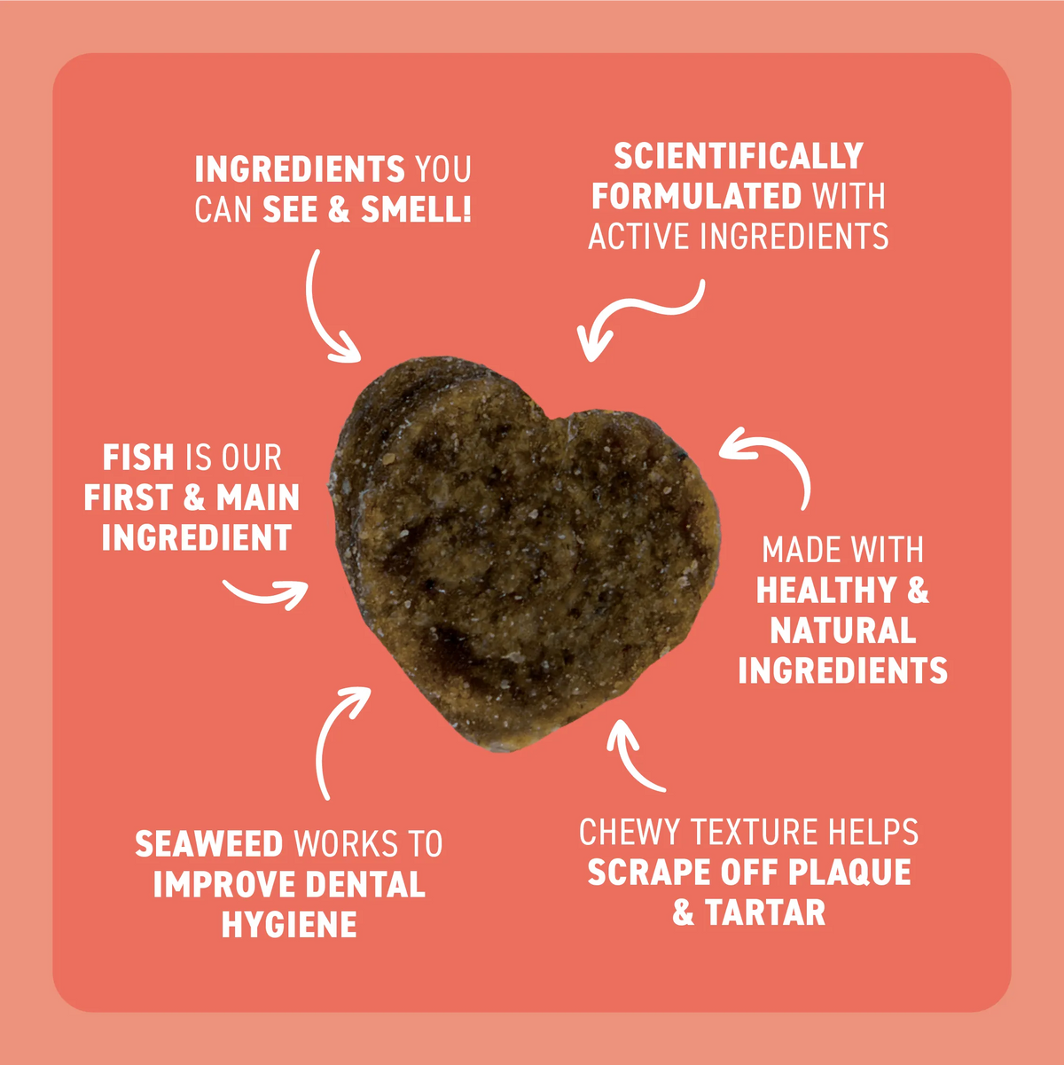Adult Cat Dental Bites - Salmon with Charcoal