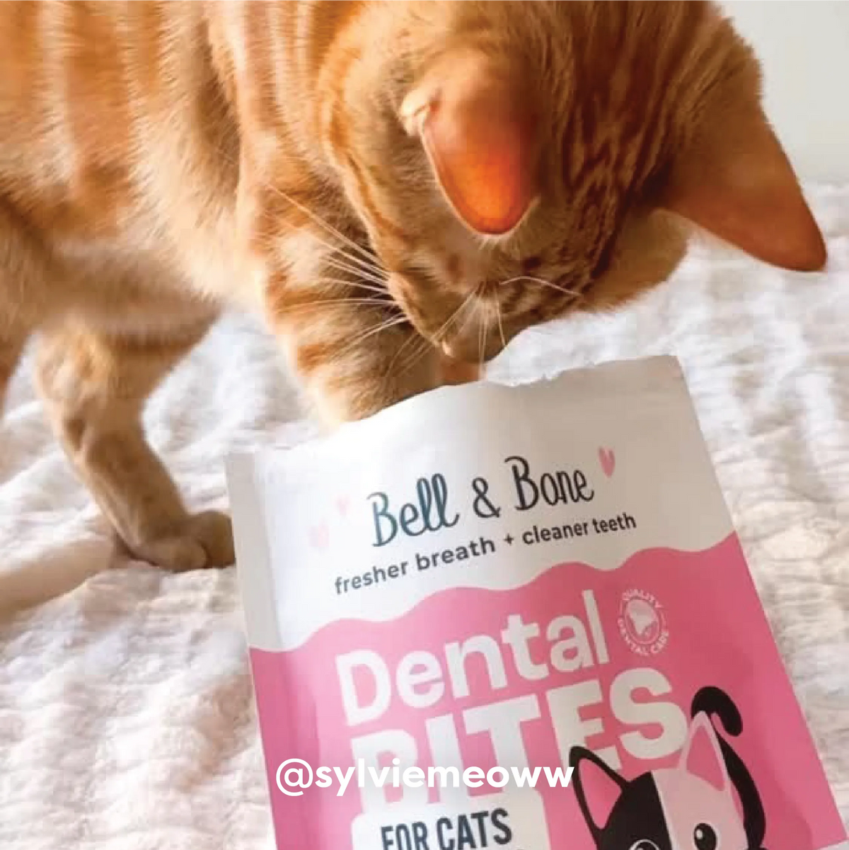 Adult Cat Dental Bites - Tuna with Coconut
