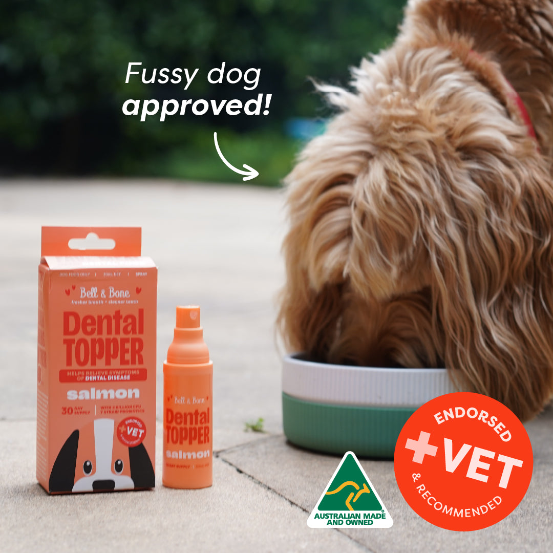 Dog Dental Topper - Salmon (30 day supply)