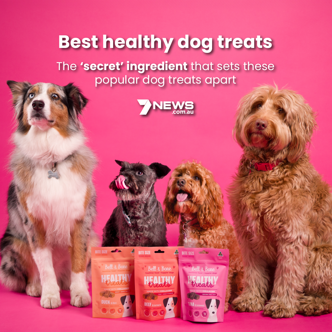 Best healthy dog treats: The ‘secret’ ingredient that sets these popular dog treats apart