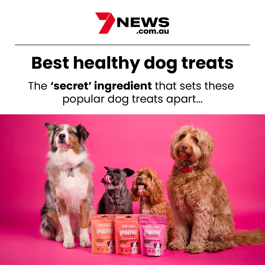 Dog Collagen Superfood Bundle - 5 Pack