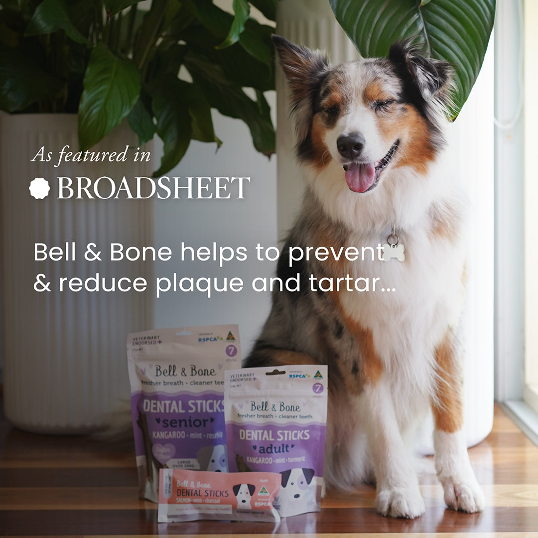 These Pet Brands Deserve a Round of A-Paws
