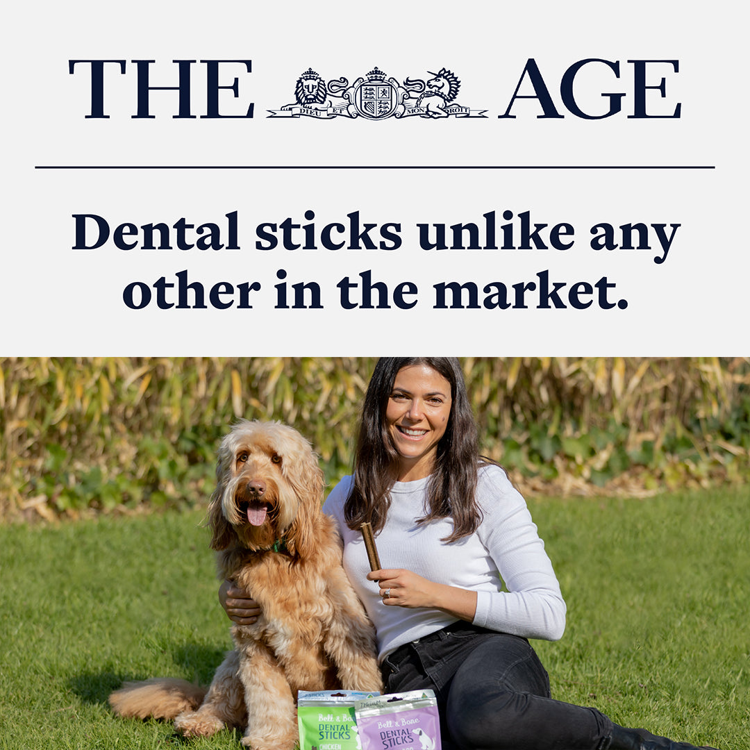 Adult Dog Dental Sticks - Chicken, Mint and Seaweed