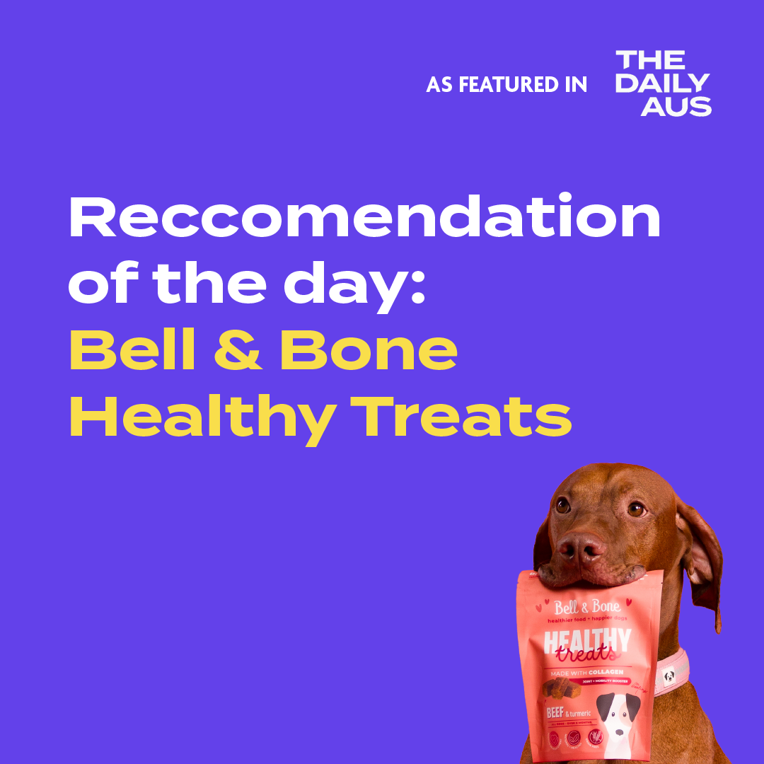 Dog Healthy Treats: Beef & Turmeric for joint and mobility booster