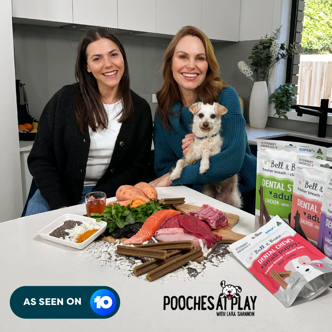 Dog Dental Treats Bundle - 4 Pack