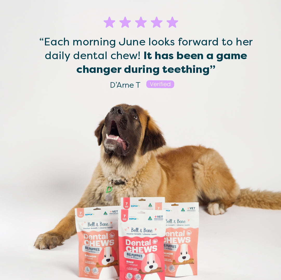 Puppy Dental Chew Bundle - 4 Pack