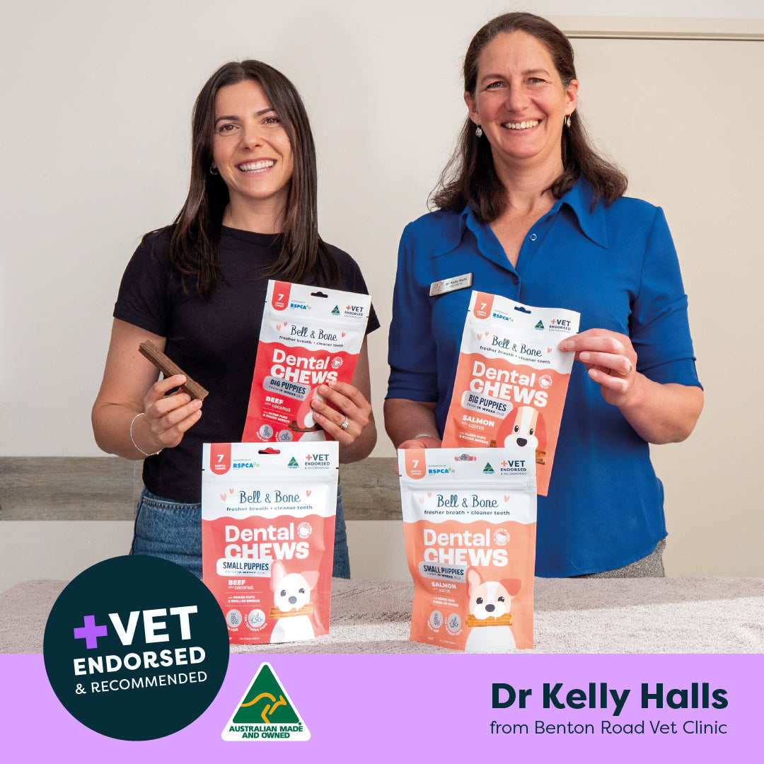 Puppy Dental Chews - Salmon and Carrot