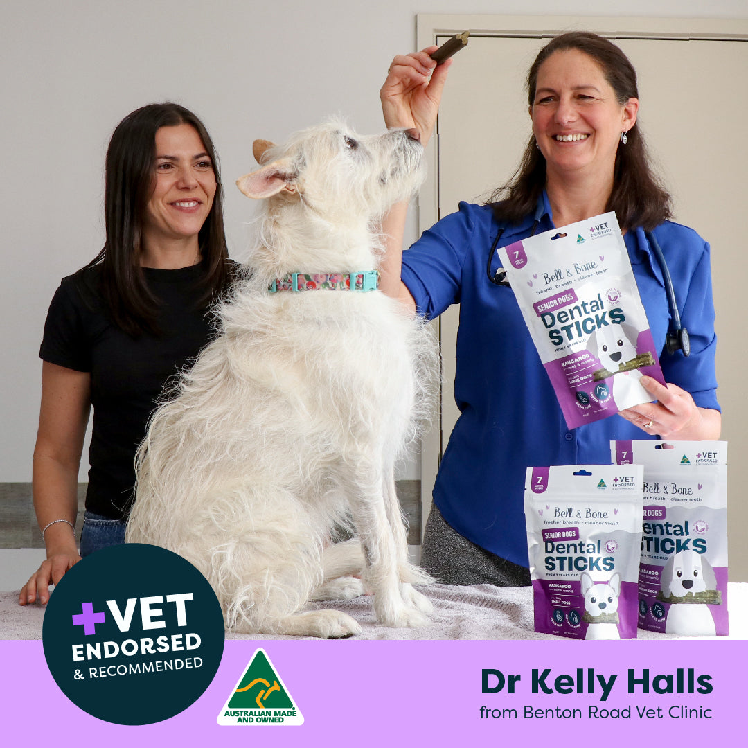 Senior Dog Health Bundle - 5 Pack
