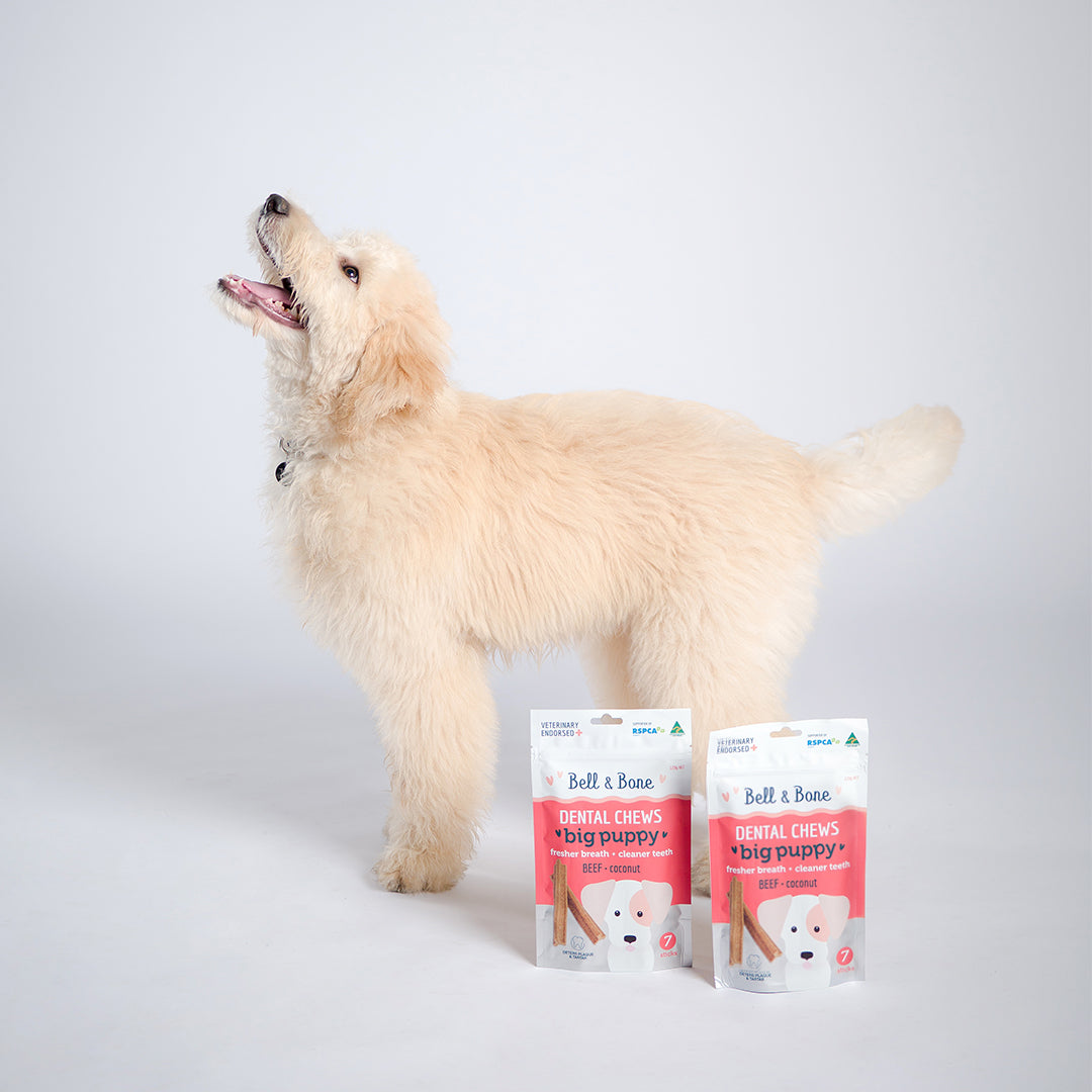 Puppy Dental Chew Sample
