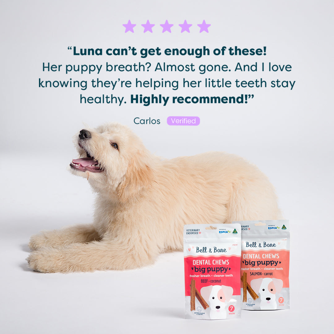 Dental Health for Dogs Bundle Dental Treats Pack Bell Bone