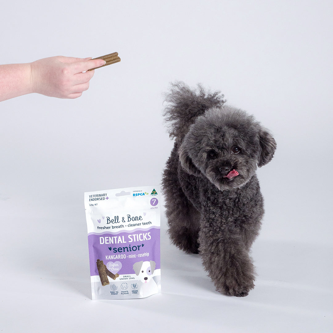 Senior Dog Kangaroo Dental Stick Sample