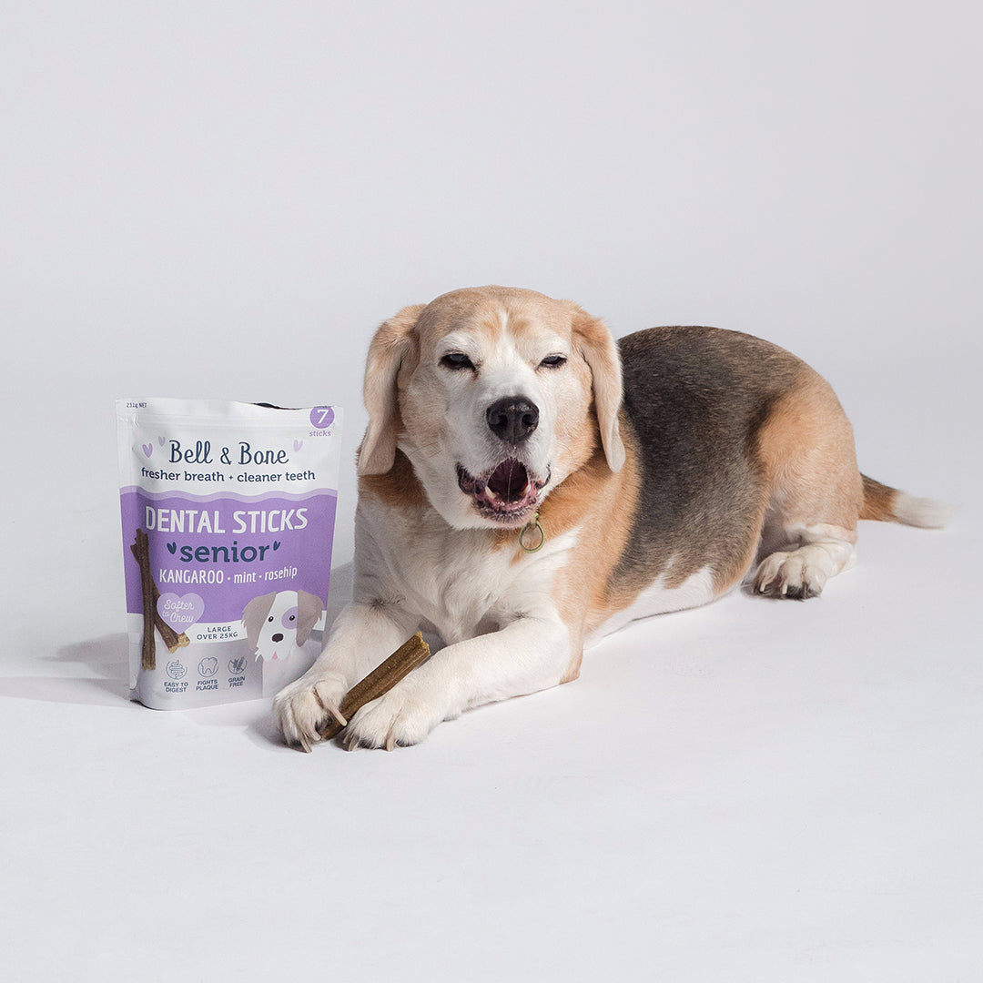 Senior Dog Kangaroo Dental Stick Sample