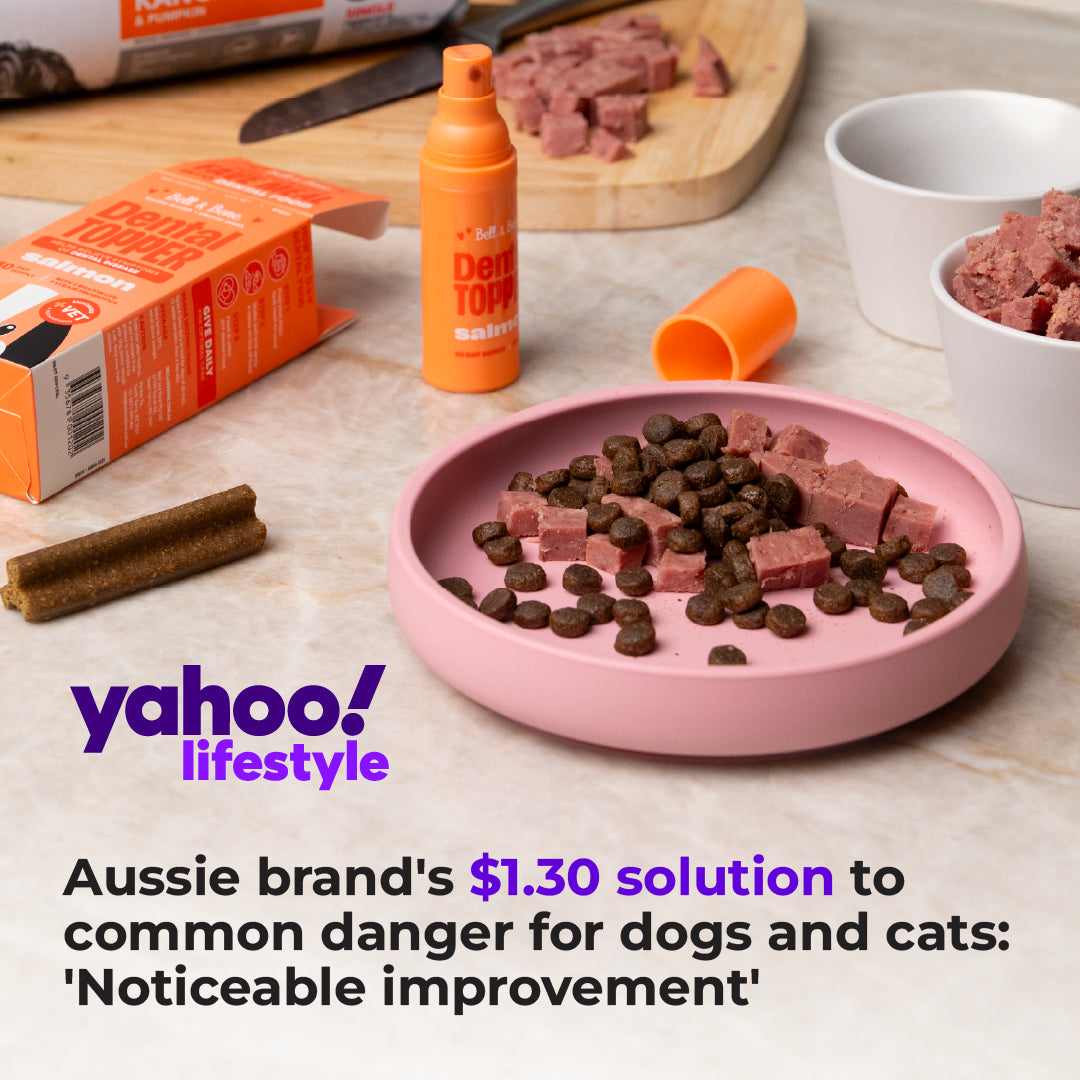 Aussie brand's $1.30 solution to common danger for dogs and cats: 'Noticeable improvement'