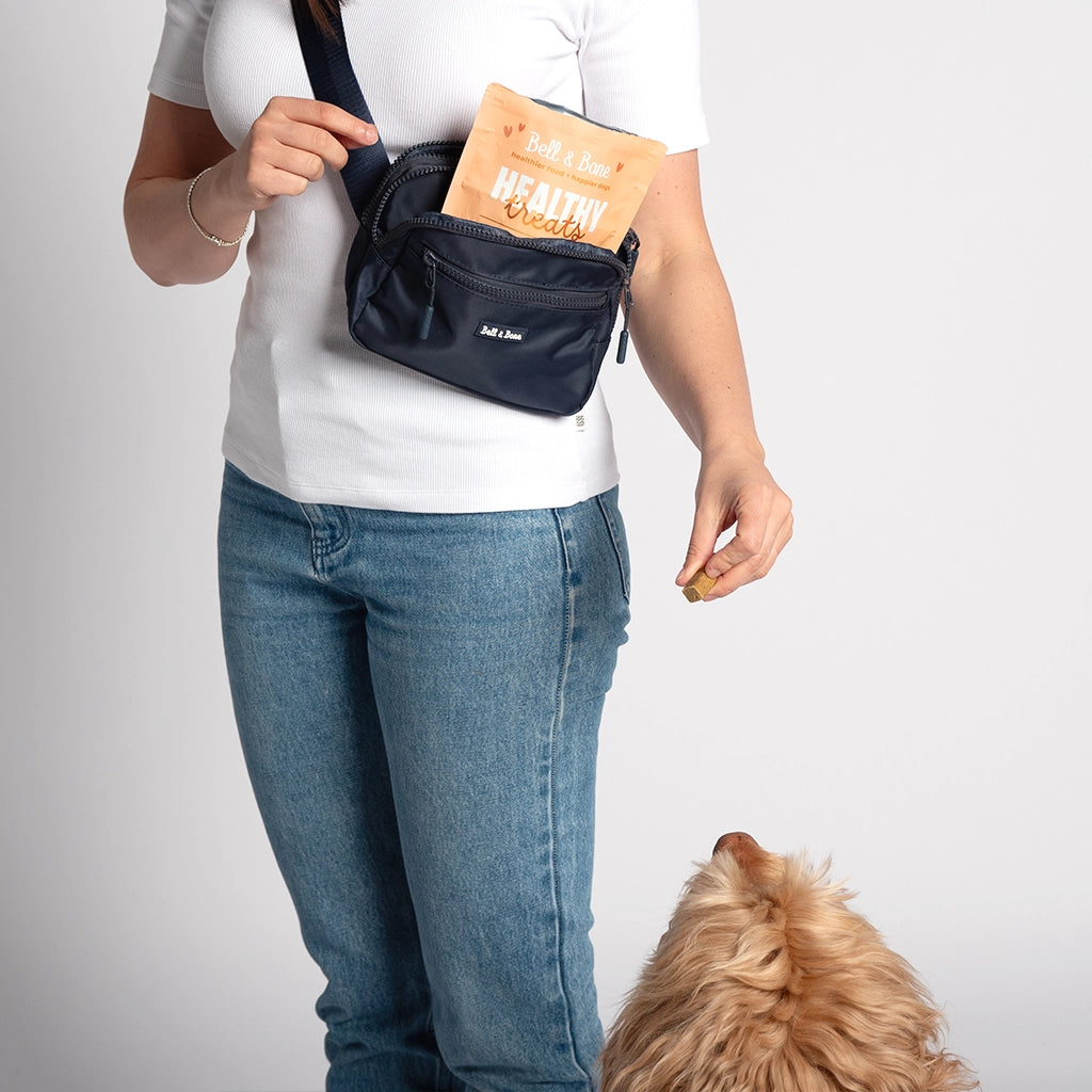On-The-Go Dog Treat Bag